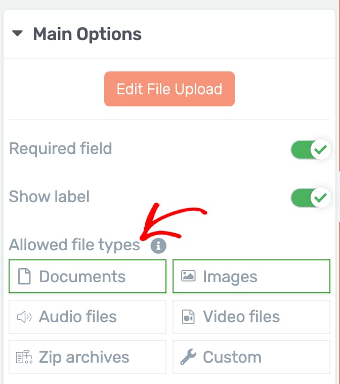 Select the file types you want to allow the users to upload