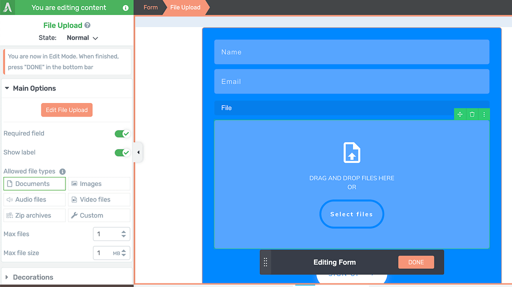 See the file upload field options in the left panel while in the edit mode.